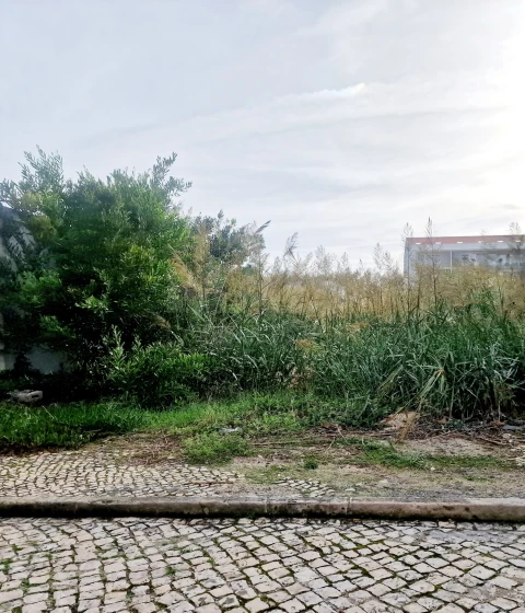 Terreno para Venda em Silveira