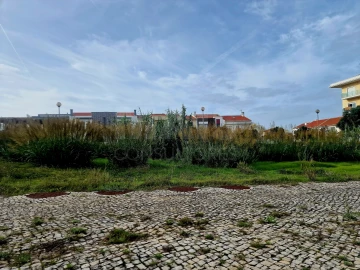 Terreno para Venda em Silveira