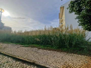 Terreno para Venda em Silveira