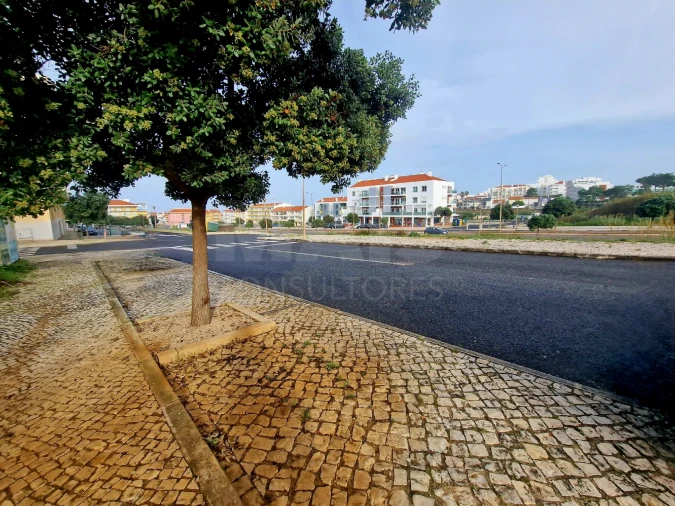 Terreno para Venda em Silveira Foto 9