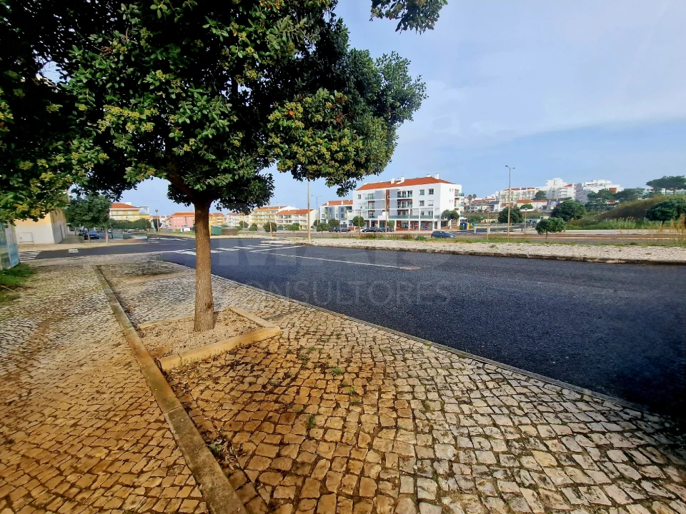 Terreno para Venda em Silveira Foto 9
