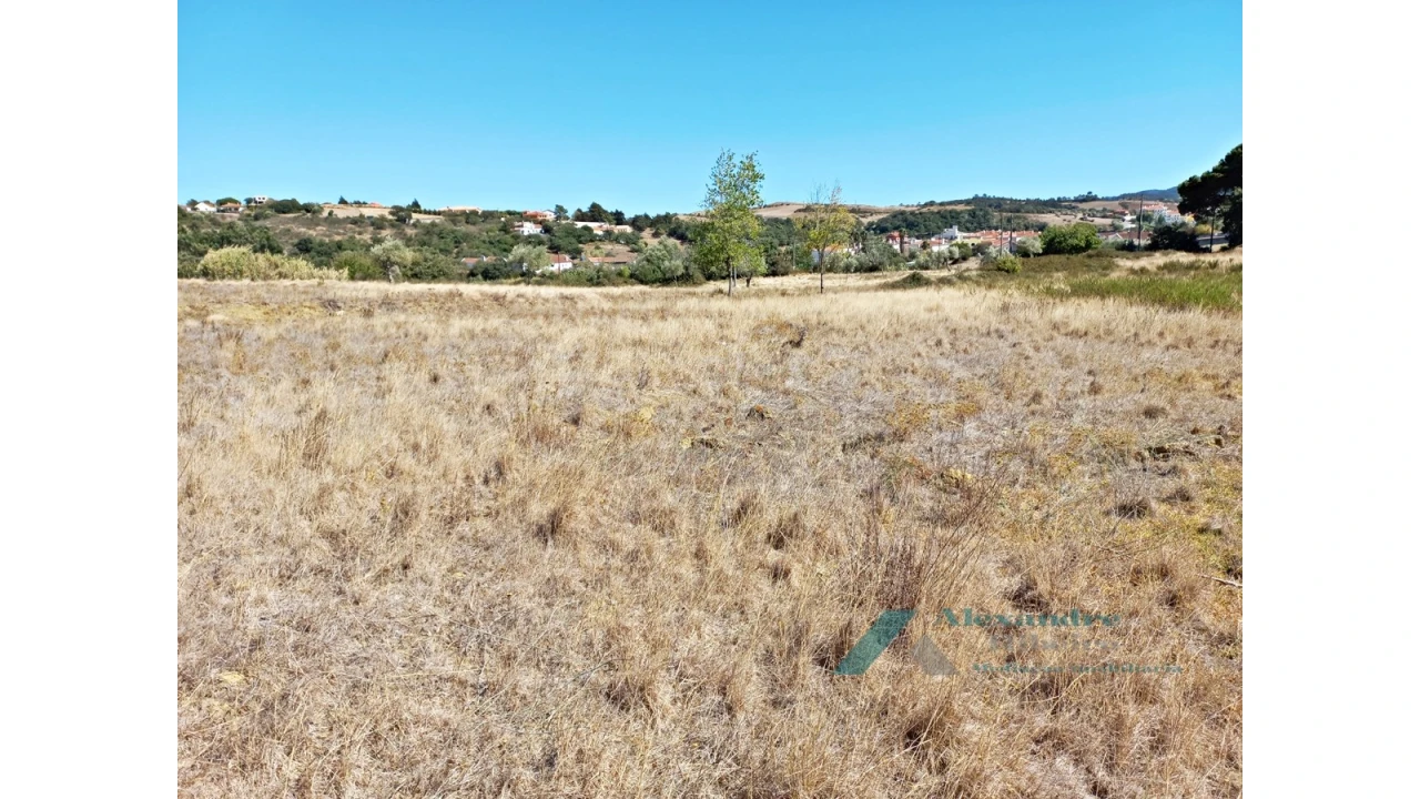 Terreno para Venda em Milharado Foto 8