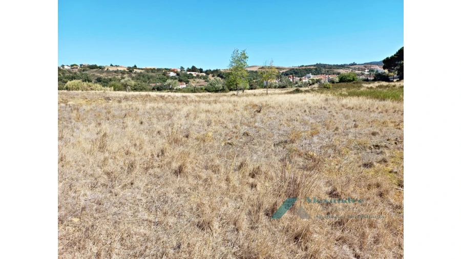 Terreno para Venda em Milharado Foto 8
