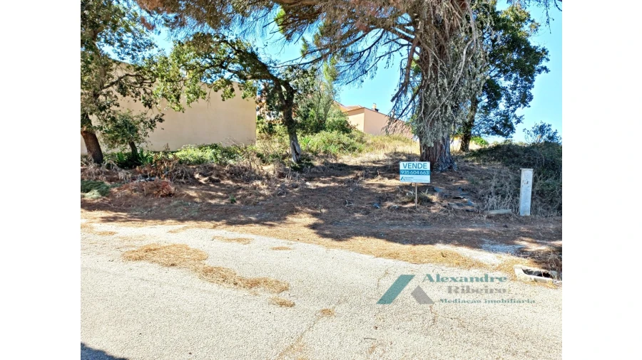 Terreno para Venda em Milharado Foto 10