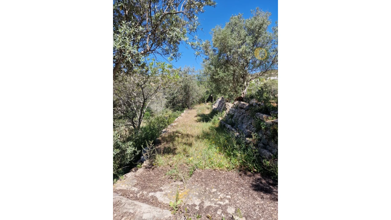 Quinta T5 para Venda em Santa Barbara de Nexe Foto 11