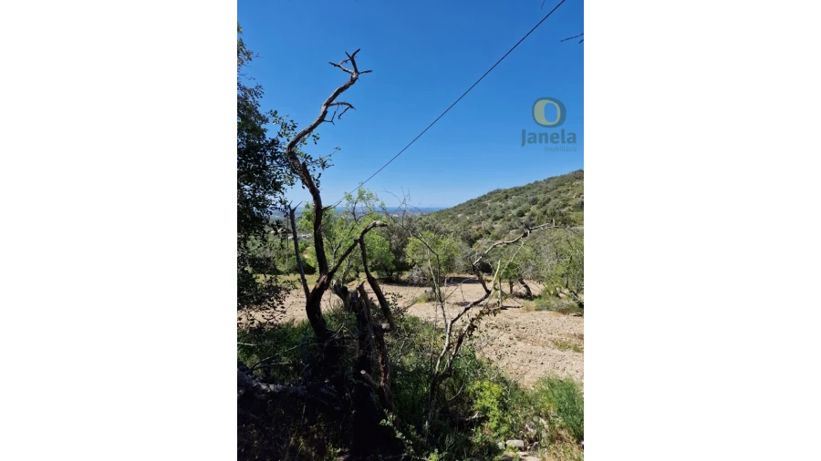 Quinta T5 para Venda em Santa Barbara de Nexe Foto 7