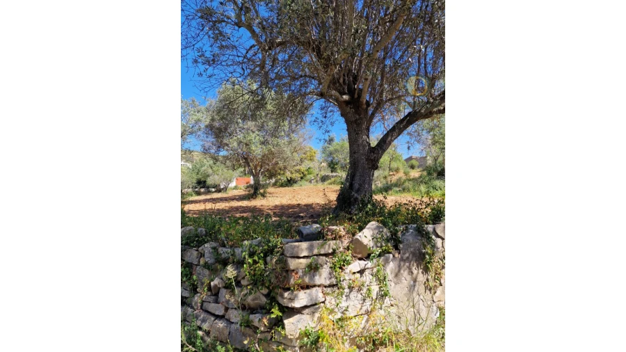 Quinta T5 para Venda em Santa Barbara de Nexe Foto 10