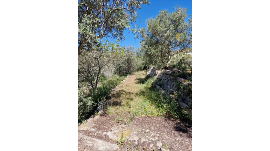 Quinta T5 para Venda em Santa Barbara de Nexe Foto 11