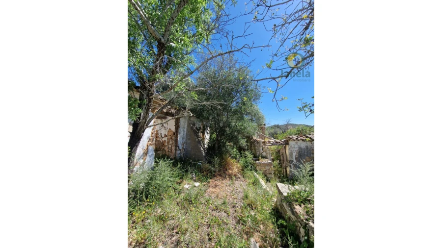 Quinta T5 para Venda em Santa Barbara de Nexe Foto 14