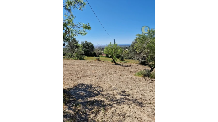 Quinta T5 para Venda em Santa Barbara de Nexe Foto 25