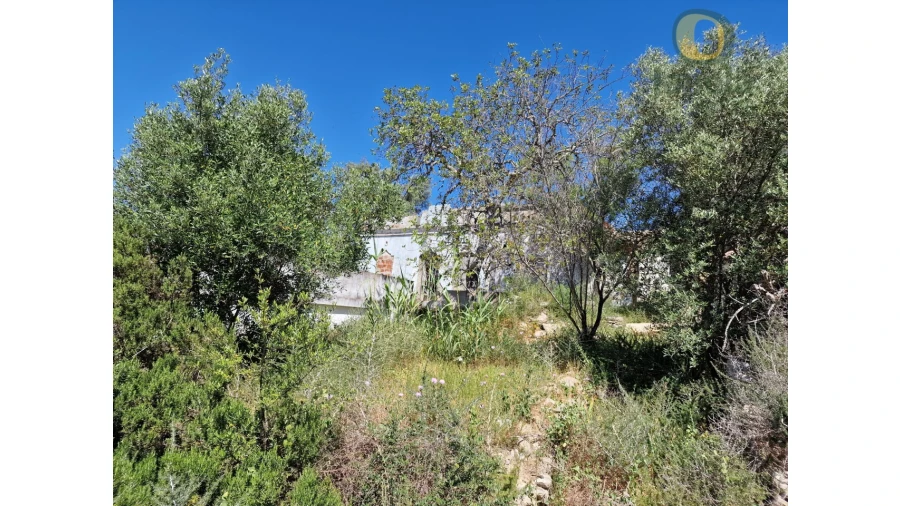 Quinta T5 para Venda em Santa Barbara de Nexe Foto 29