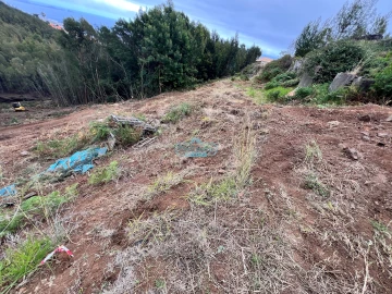 Terreno para Venda em Gaula