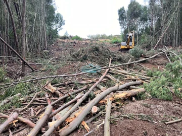 Terreno para Venda em Gaula