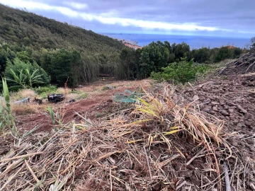 Terreno para Venda em Gaula