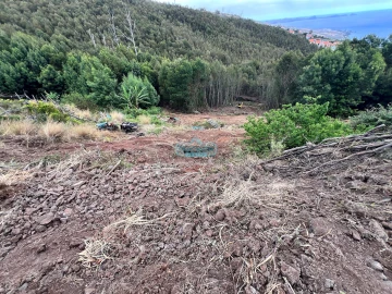 Terreno para Venda em Gaula