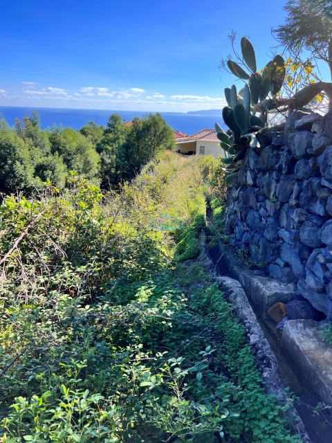 Terreno para Venda em Gaula