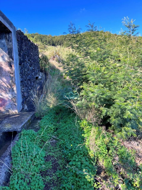 Terreno para Venda em Gaula