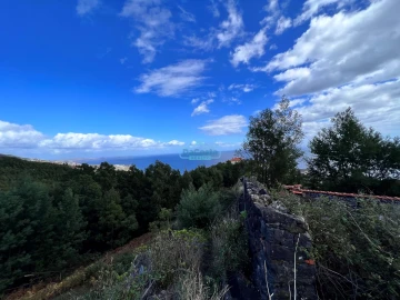 Terreno para Venda em Gaula
