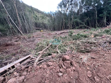 Terreno para Venda em Gaula