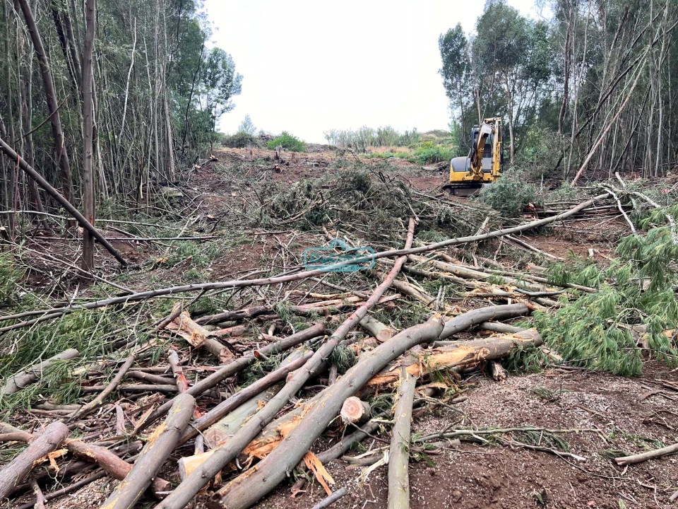 Terreno para Venda em Gaula Foto 10