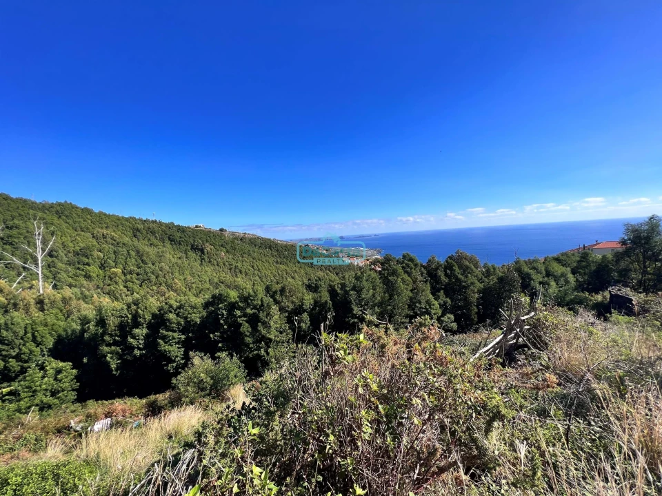 Terreno para Venda em Gaula Foto 2