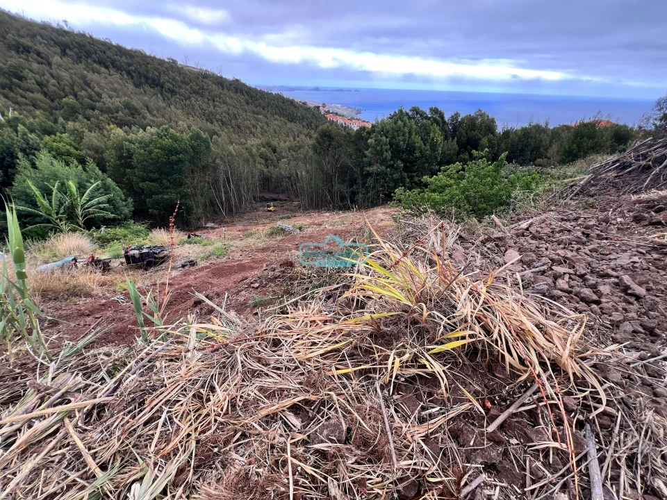 Terreno para Venda em Gaula Foto 1