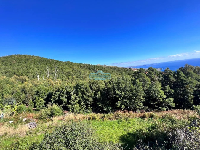 Terreno para Venda em Gaula Foto 15