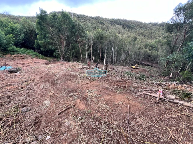 Terreno para Venda em Gaula Foto 4