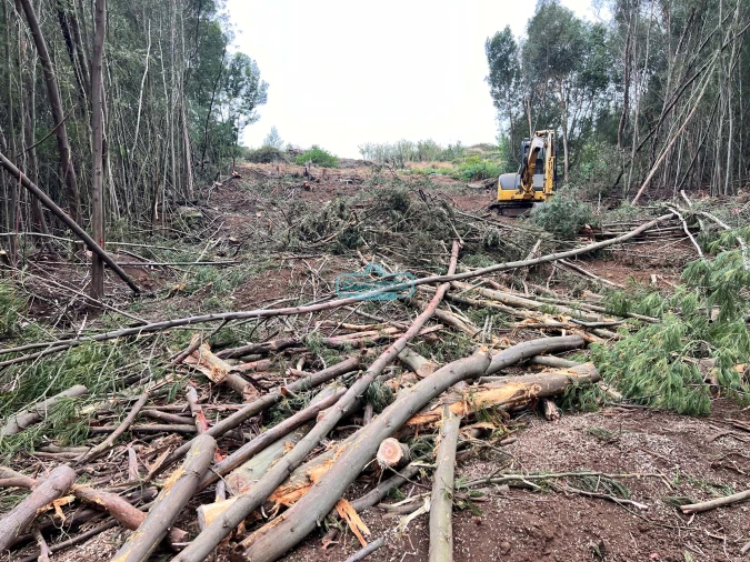 Terreno para Venda em Gaula Foto 10