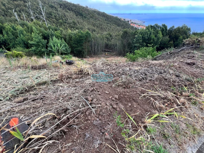 Terreno para Venda em Gaula Foto 6