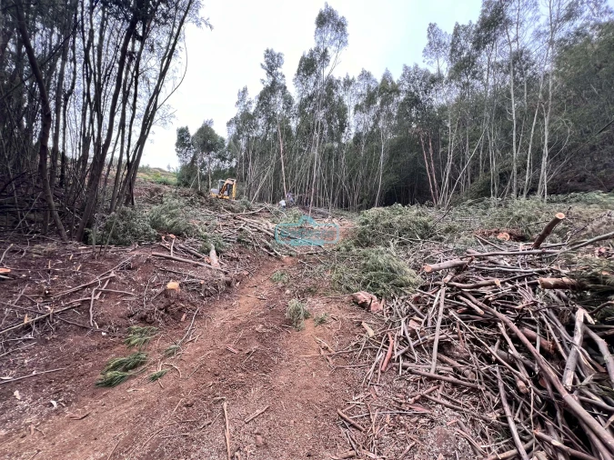 Terreno para Venda em Gaula Foto 11