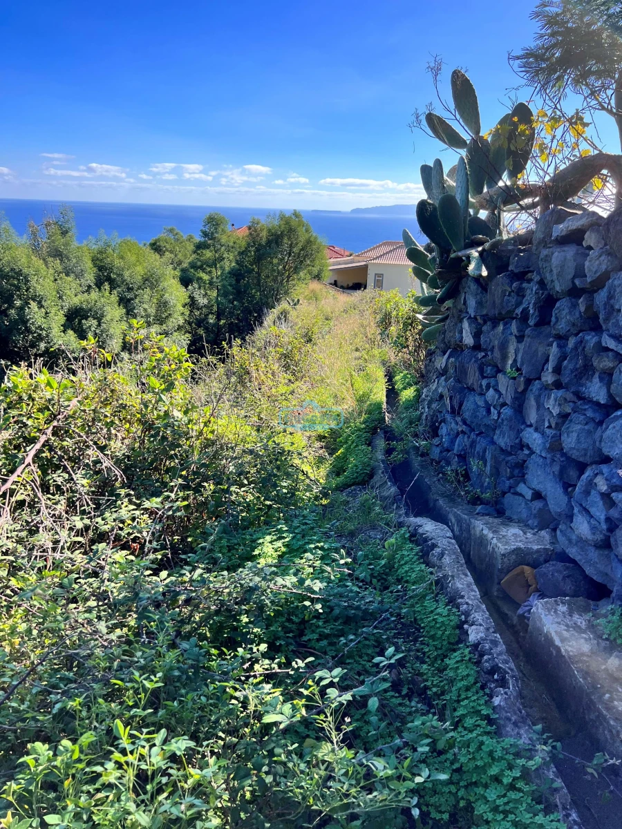 Terreno para Venda em Gaula Foto 14