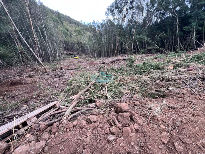 Terreno para Venda em Gaula Foto 3