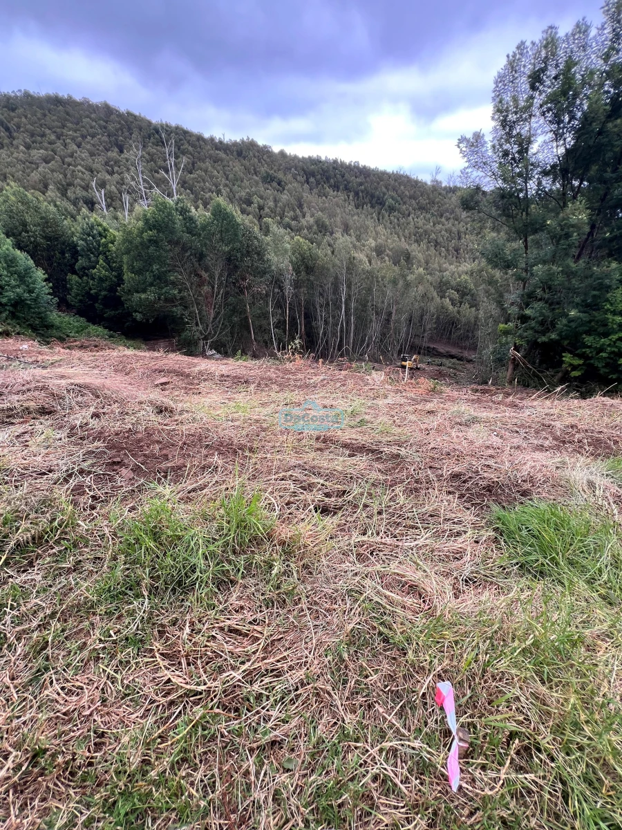 Terreno para Venda em Gaula Foto 5