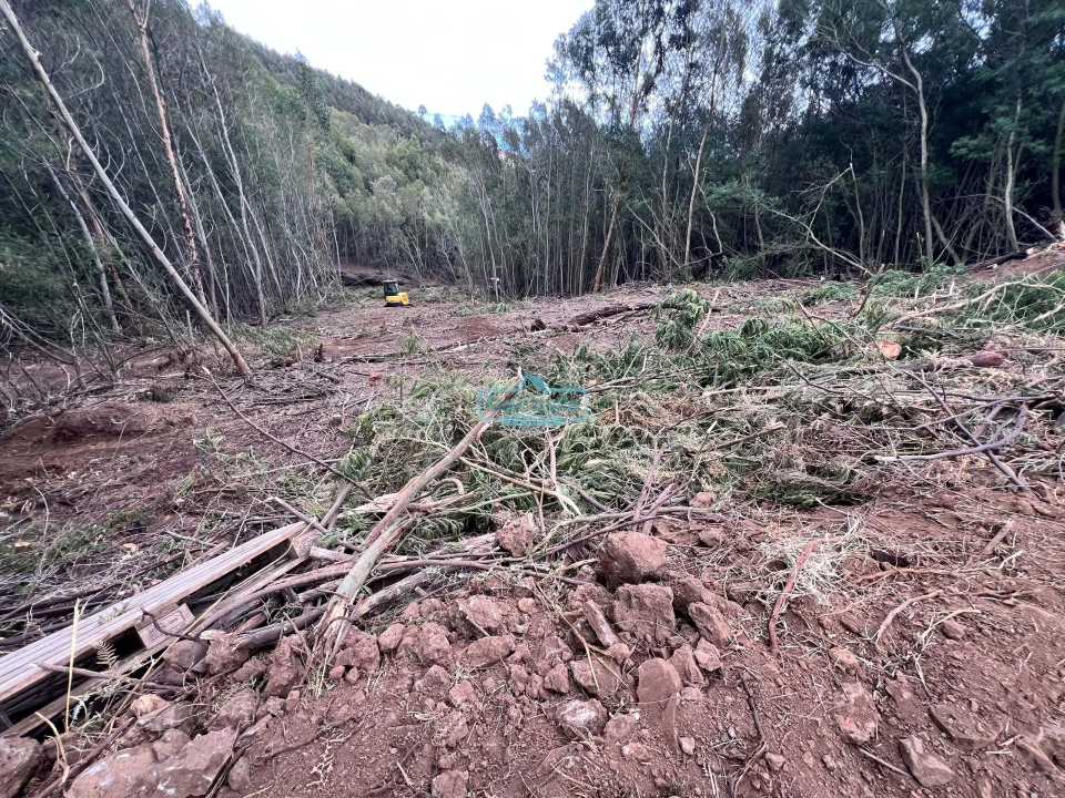 Terreno para Venda em Gaula Foto 3