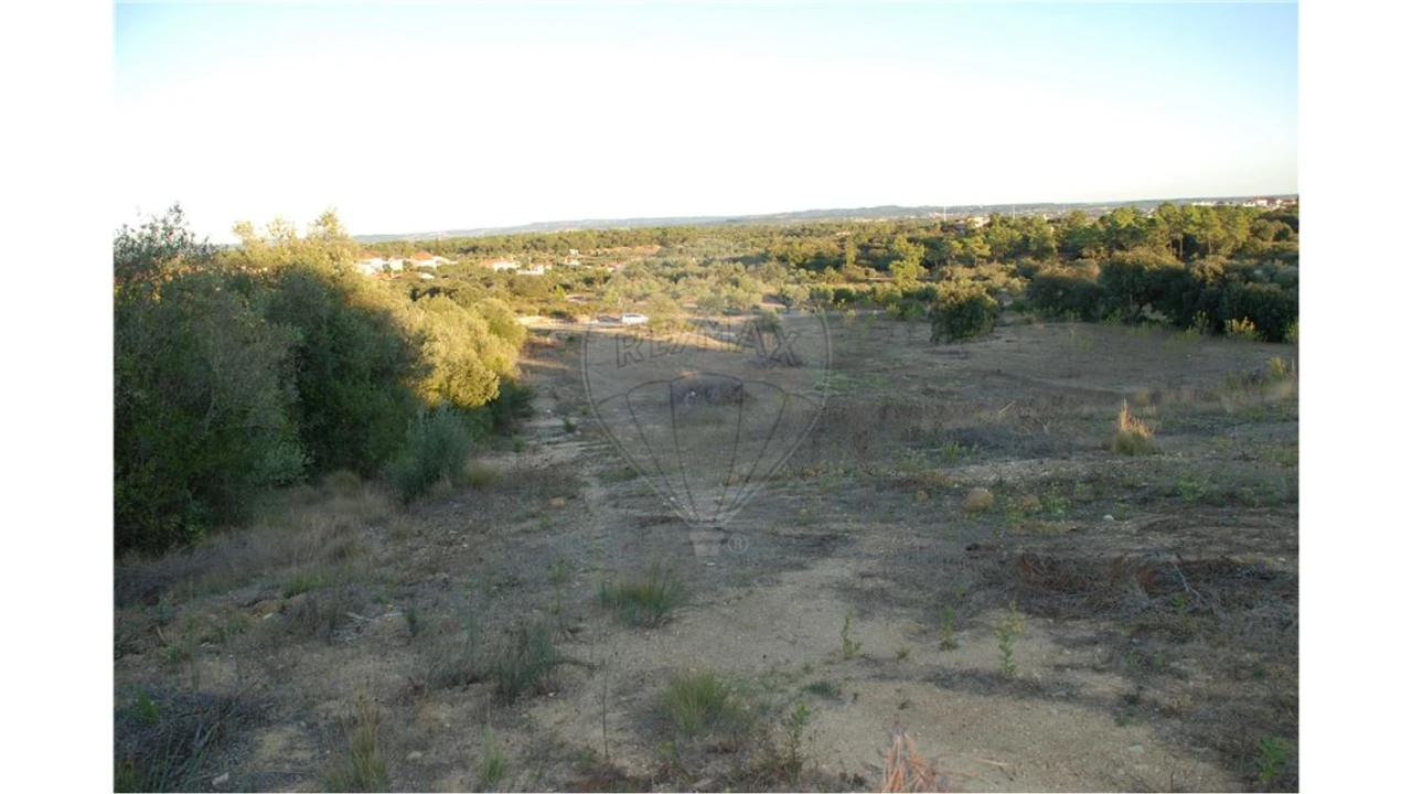 Terreno para Venda em Olaia e Paço Foto 4