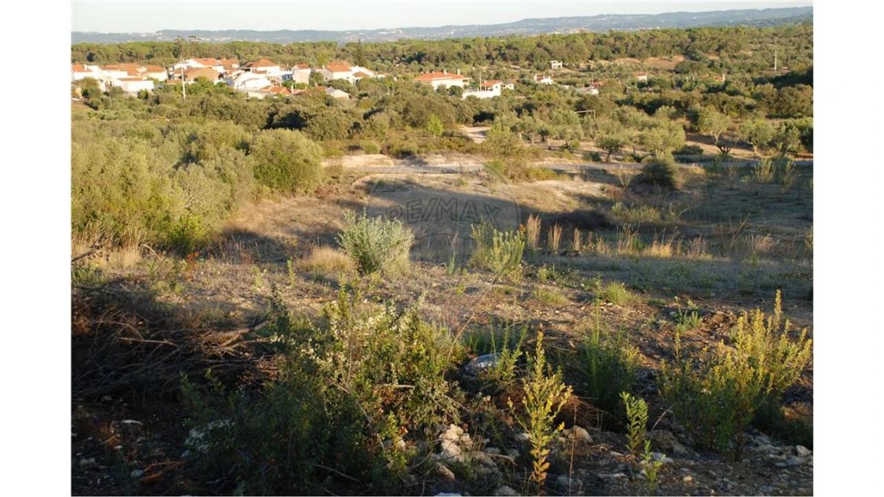 Terreno para Venda em Olaia e Paço Foto 2