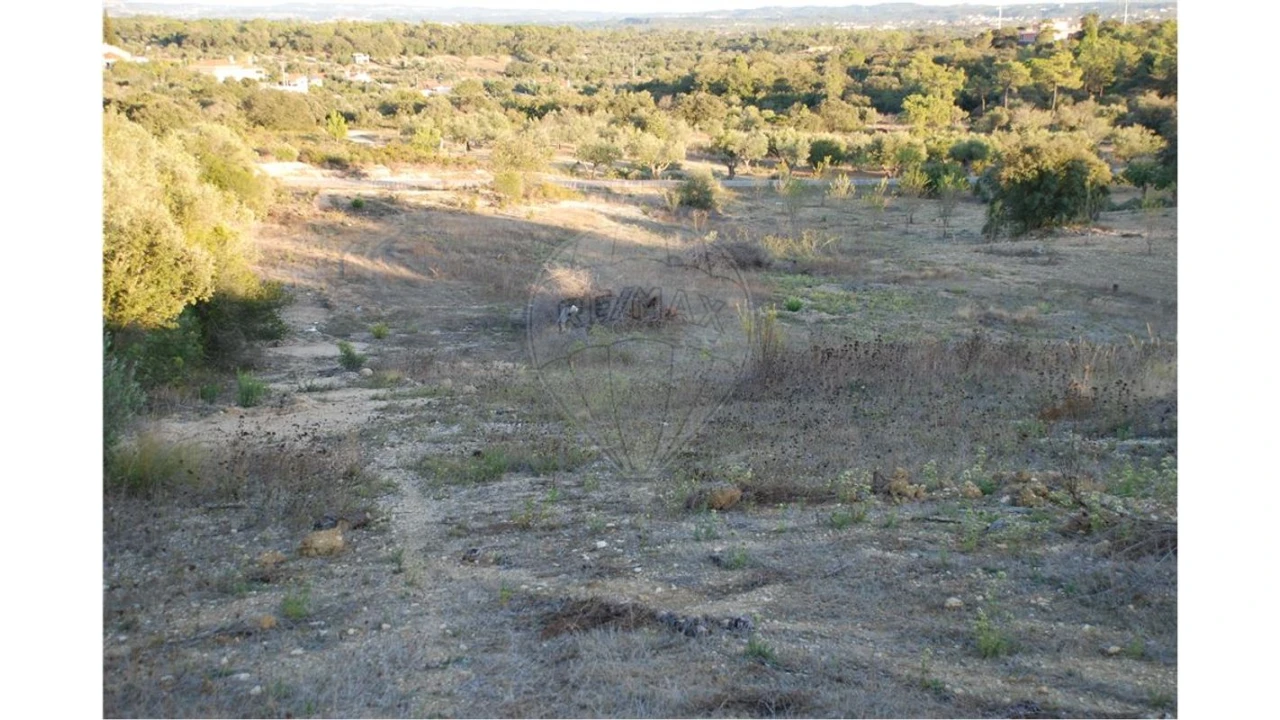 Terreno para Venda em Olaia e Paço Foto 3