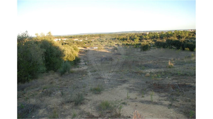 Terreno para Venda em Olaia e Paço Foto 4