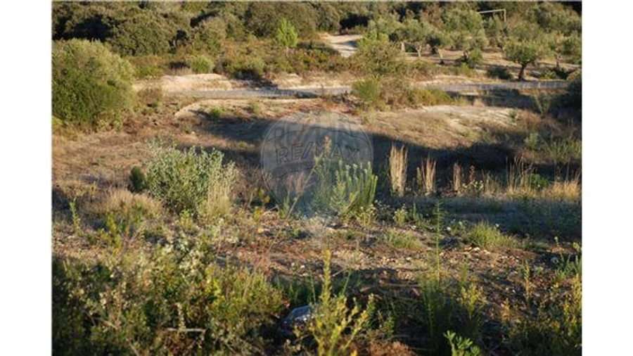 Terreno para Venda em Olaia e Paço