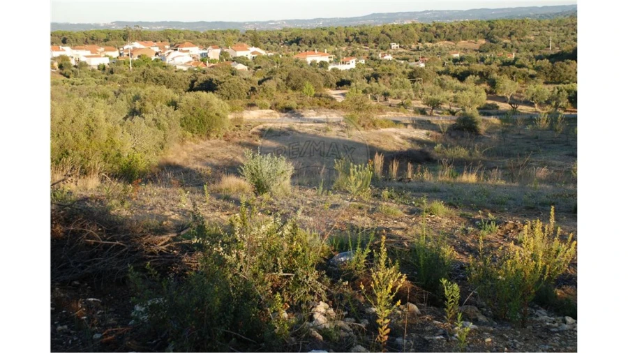 Terreno para Venda em Olaia e Paço Foto 2