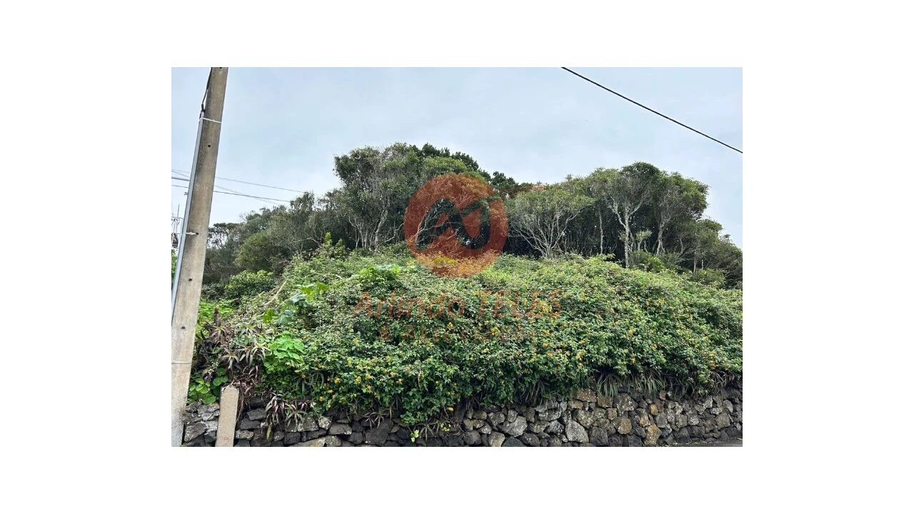Terreno para Venda em Porto Martins Foto 10