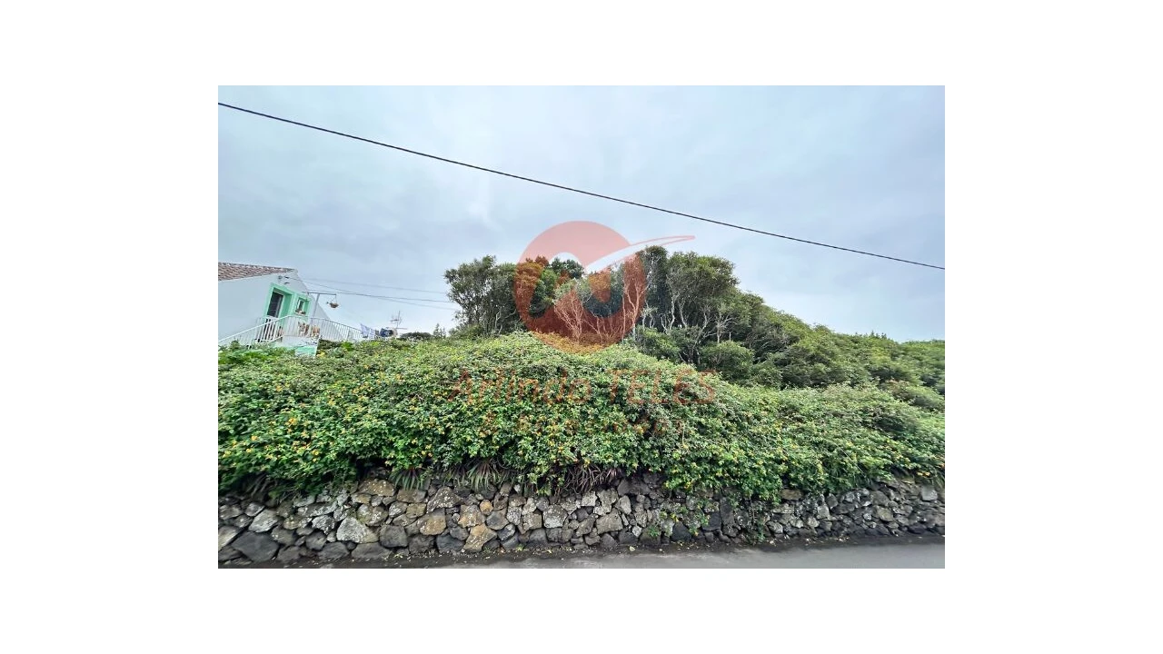 Terreno para Venda em Porto Martins Foto 7