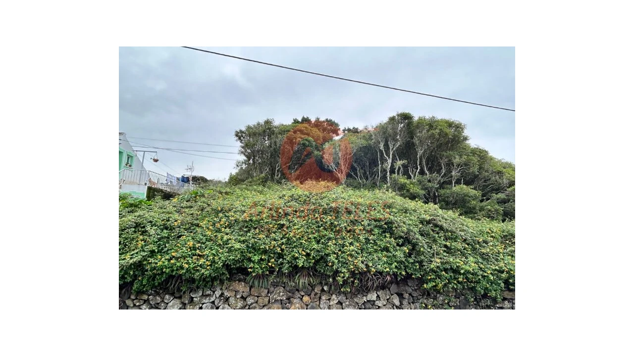 Terreno para Venda em Porto Martins Foto 5