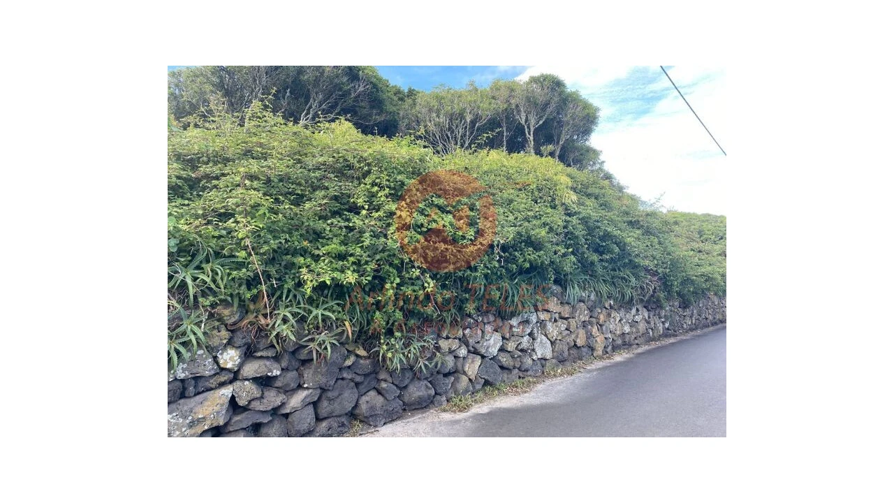 Terreno para Venda em Porto Martins Foto 12