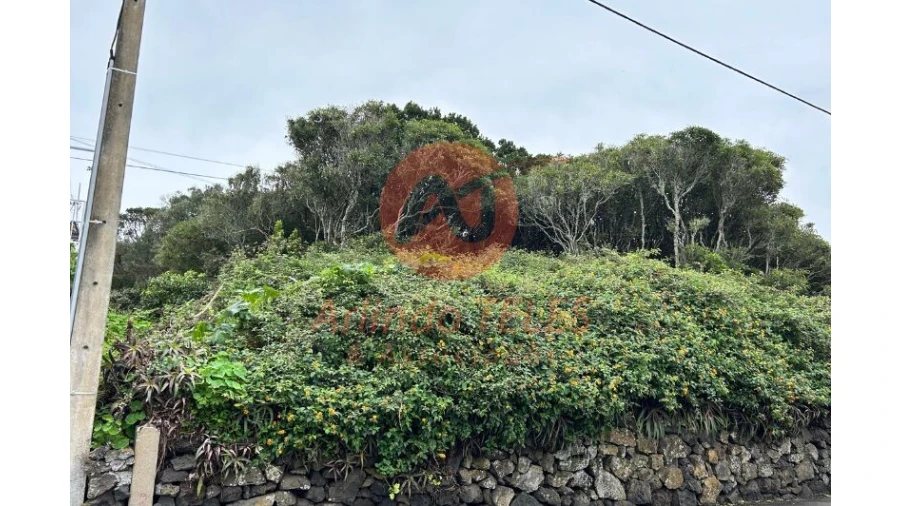 Terreno para Venda em Porto Martins Foto 10
