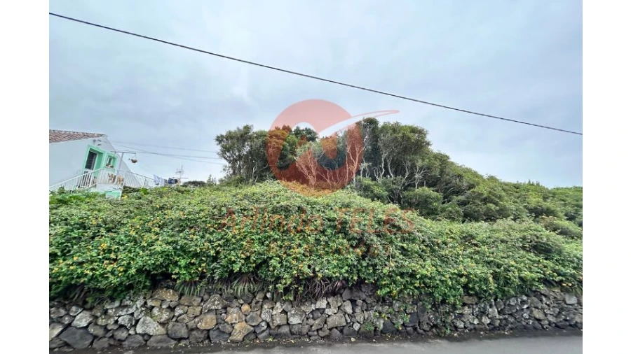 Terreno para Venda em Porto Martins Foto 7