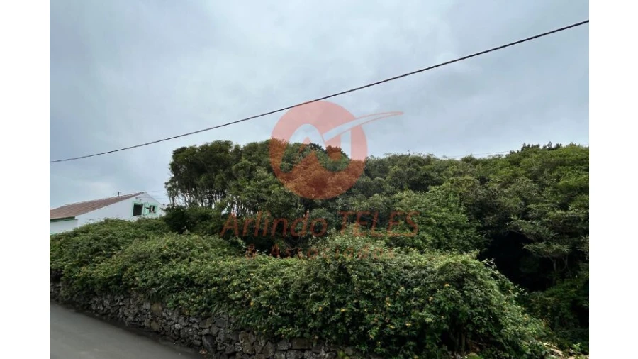 Terreno para Venda em Porto Martins Foto 4