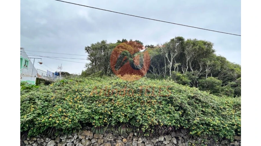 Terreno para Venda em Porto Martins Foto 5
