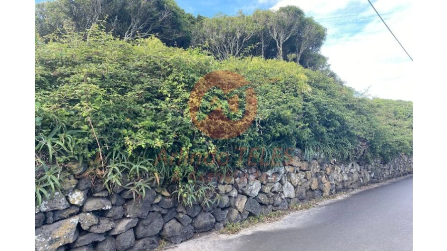Terreno para Venda em Porto Martins Foto 12